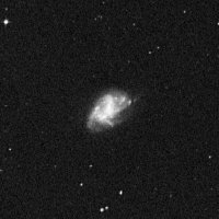 NGC 337 — sky survey preview (NASA SkyView)