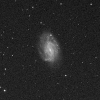 NGC 3726 — sky survey preview (NASA SkyView)