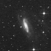 NGC 3981 — sky survey preview (NASA SkyView)