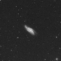 NGC 4088 — sky survey preview (NASA SkyView)