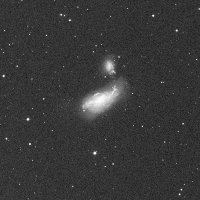 NGC 4490 — sky survey preview (NASA SkyView)