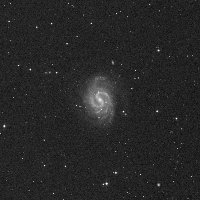NGC 4535 — sky survey preview (NASA SkyView)