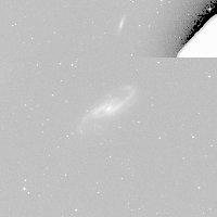 NGC 4536 — sky survey preview (NASA SkyView)