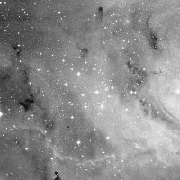 NGC 6530 — sky survey preview (NASA SkyView)