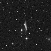 NGC 6636 — sky survey preview (NASA SkyView)