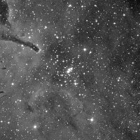 NGC 6823 — sky survey preview (NASA SkyView)
