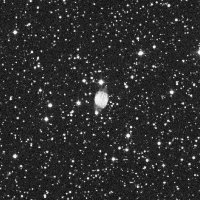 NGC 6905 (Blue Flash Nebula) — sky survey preview (NASA SkyView)