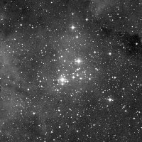 NGC 6910 — sky survey preview (NASA SkyView)