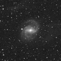 NGC 6951 — sky survey preview (NASA SkyView)