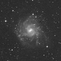 NGC 7424 — sky survey preview (NASA SkyView)