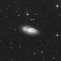 NGC 908 — sky survey preview (NASA SkyView)