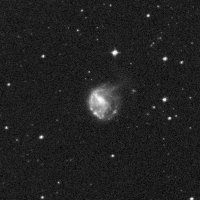 NGC 922 — sky survey preview (NASA SkyView)