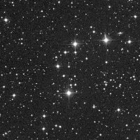 NGC 956 — sky survey preview (NASA SkyView)
